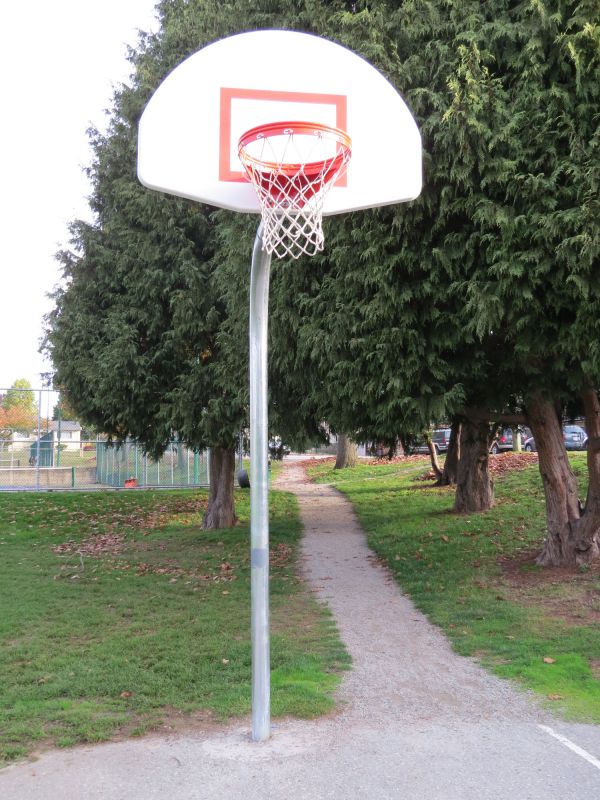 Basketball Goal Installation in Overland Park, KS
