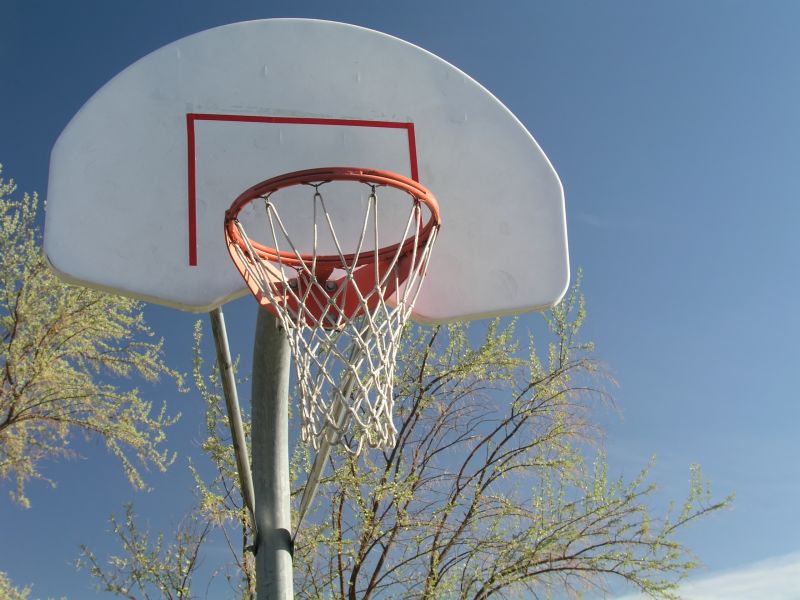 Basketball Goal Installation in Denver County, CO